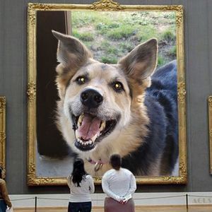 Meet your Posher, Brenda